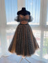 Evening dress fluffy skirt Ball gown